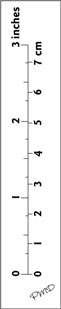 ruler